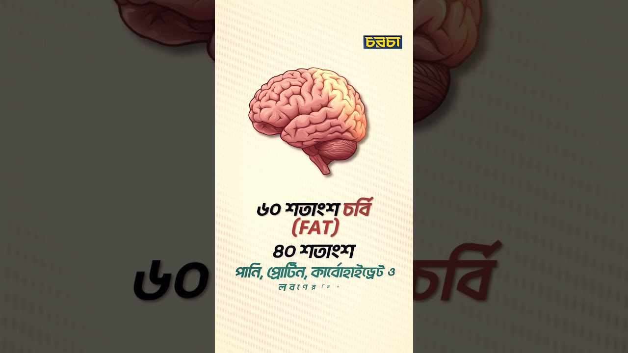 মানুষের মাথায় এত বুদ্ধি কীভাবে এল? জানলে চমকে যাবেন!