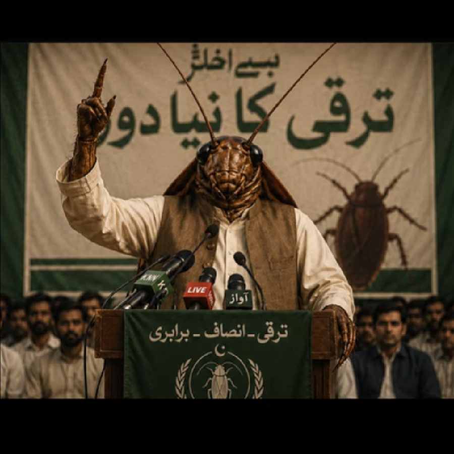 1779451787_awam-6