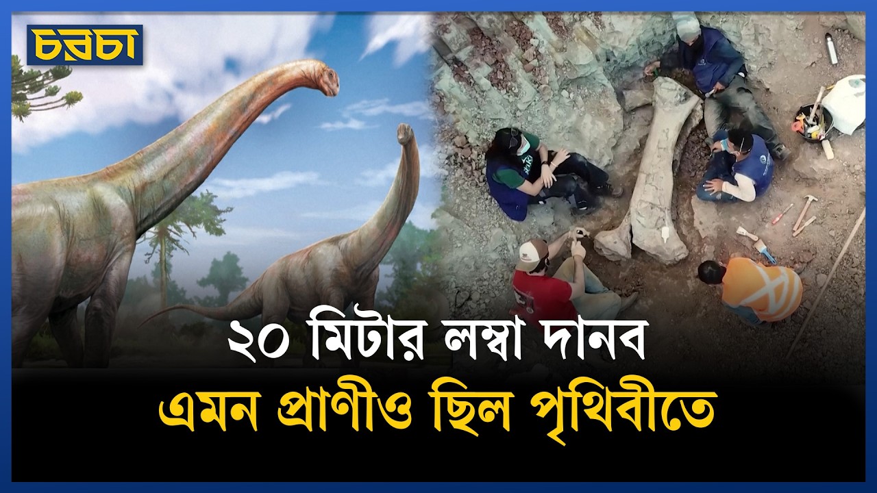 ডাইনোসরের হাড় থেকে মিলল প্রাচীন পৃথিবীর মানচিত্র!