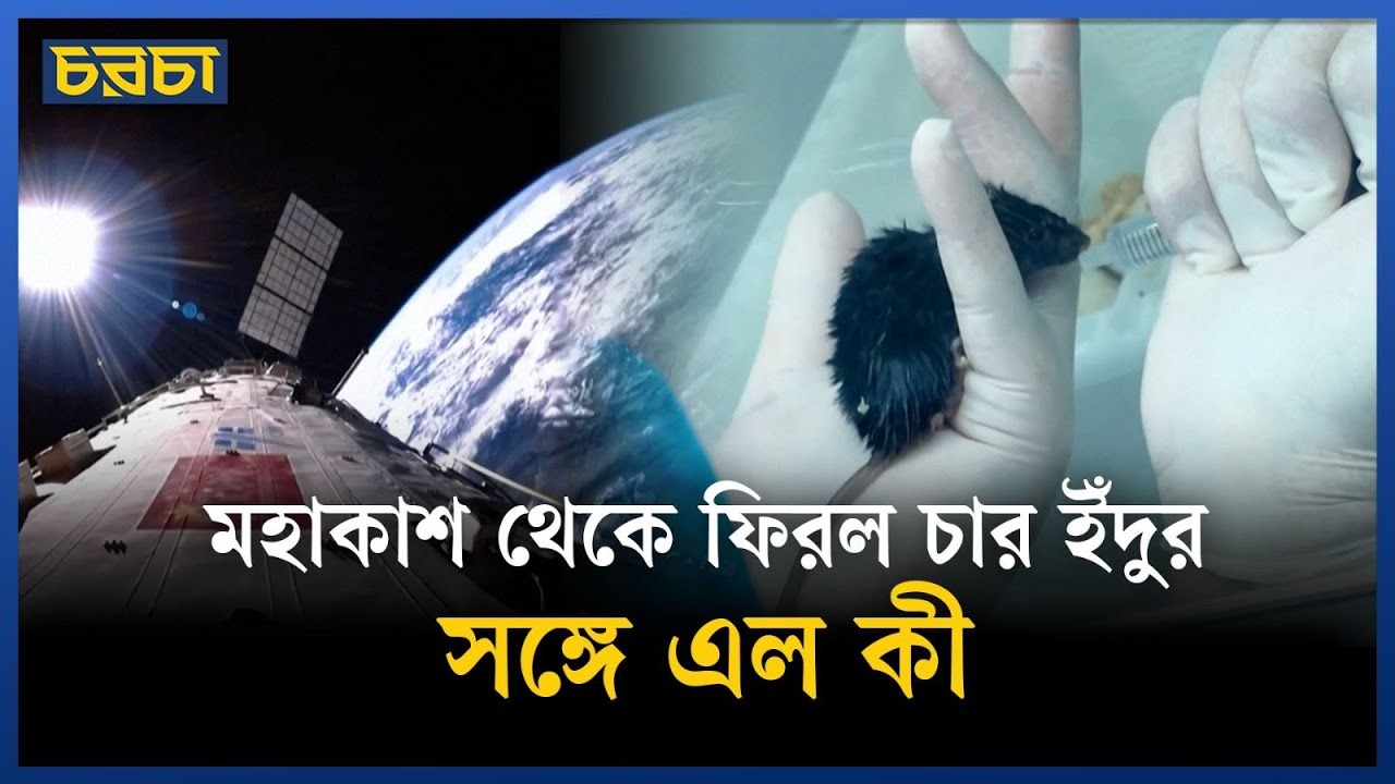 মহাকাশ থেকে অজানা তথ্য নিয়ে ফিরল ইঁদুর!