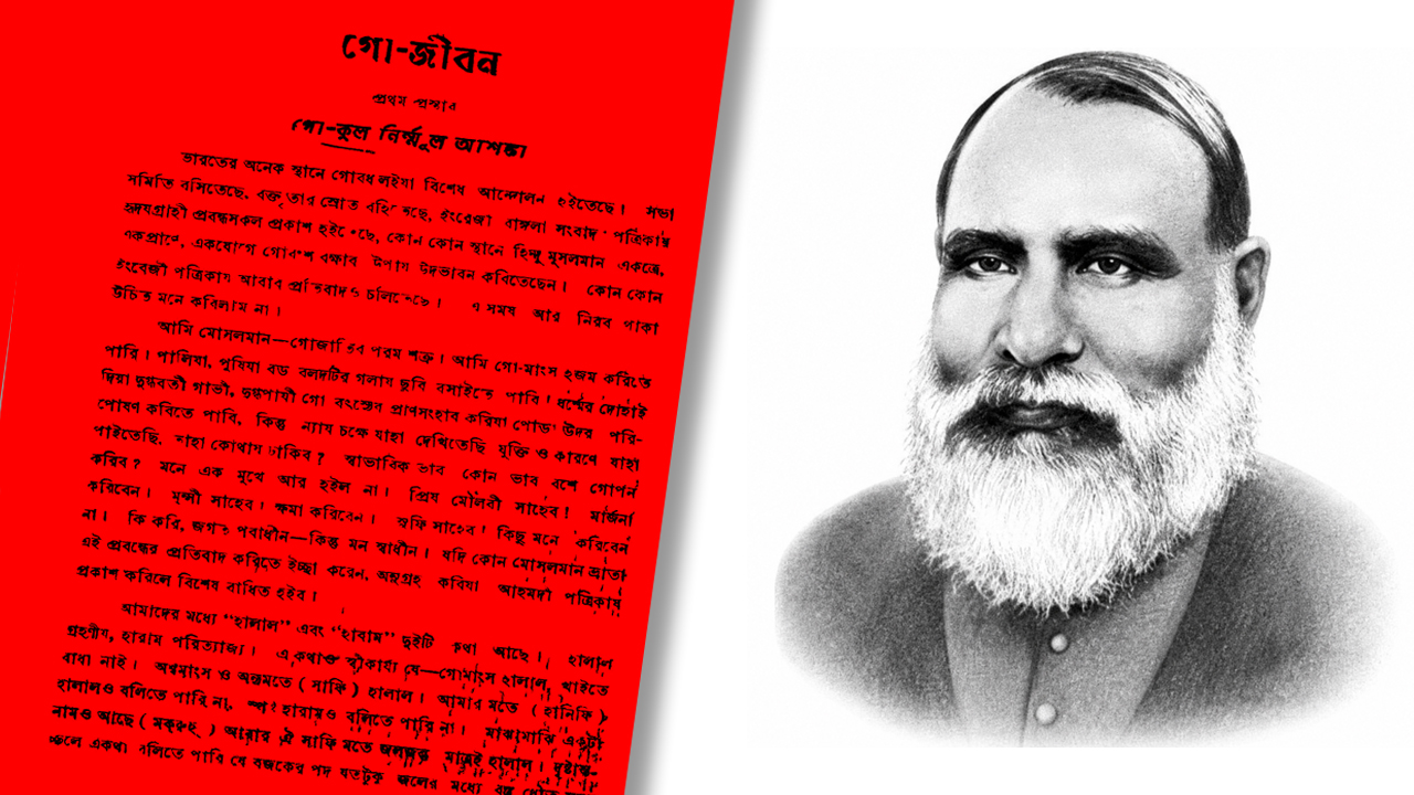 Mosharraf_2.jpg