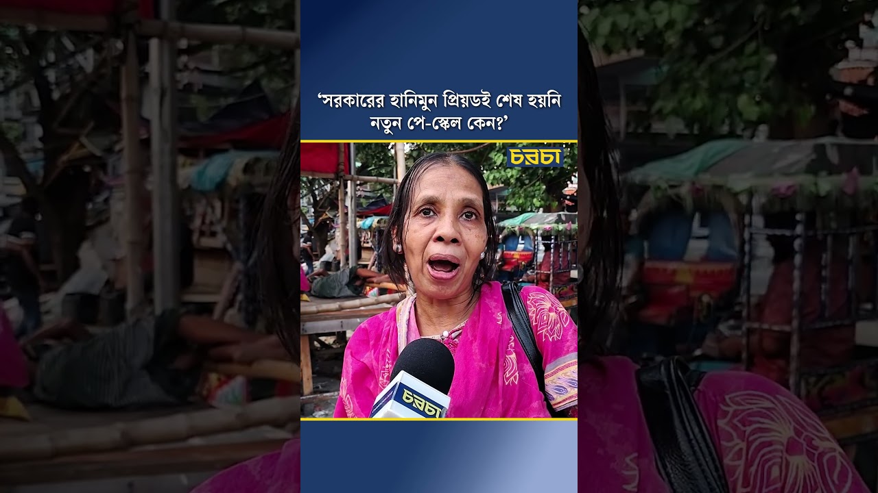 ‘সরকারের হানিমুন প্রিয়ডই শেষ হয়নি, নতুন পে-স্কেল কেন?’