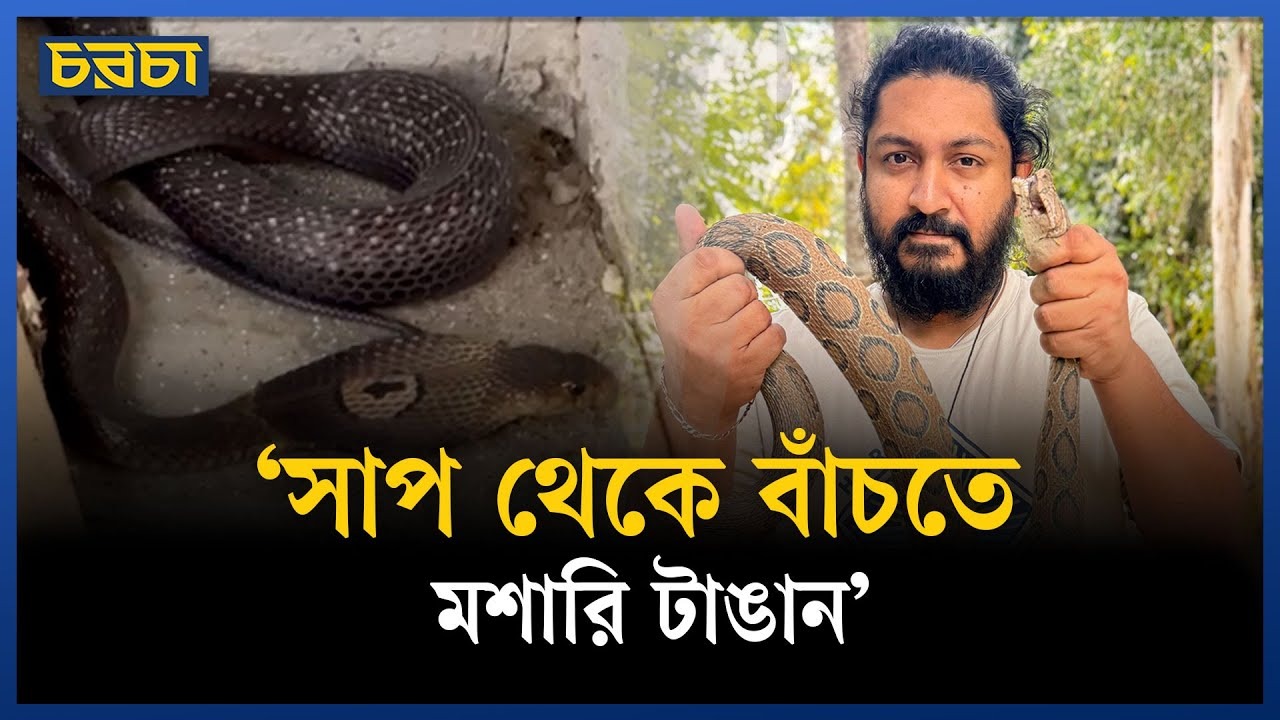 রাজধানীর কোন কোন এলাকায় সাপ বেশি?