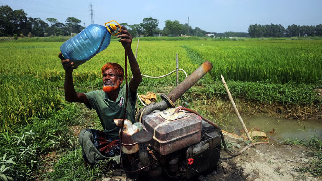 farmer