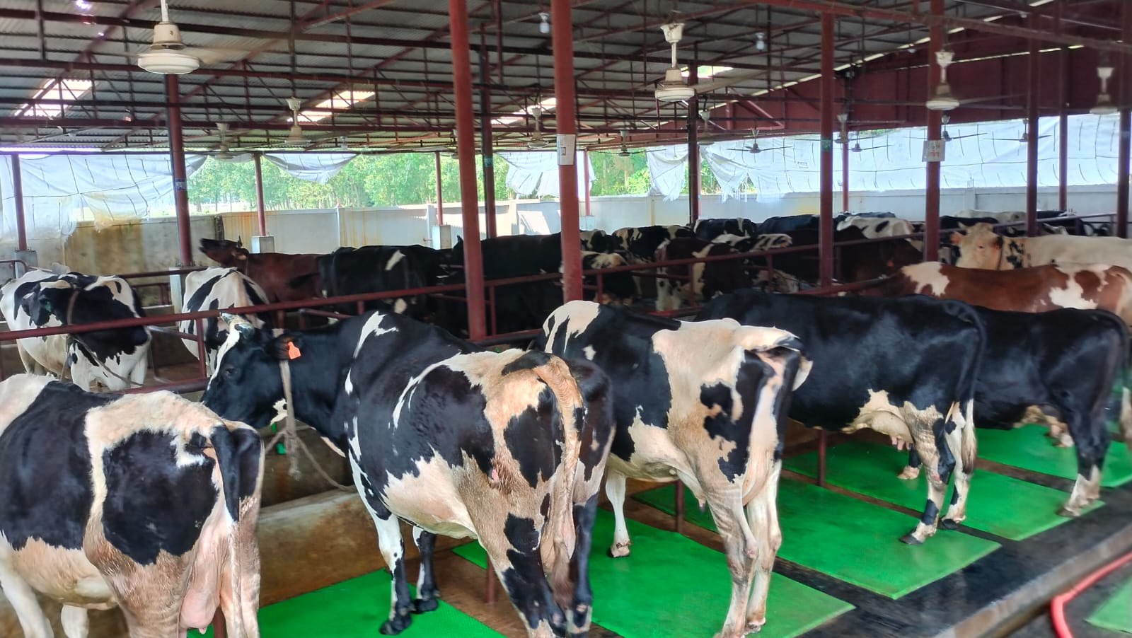 habiganj