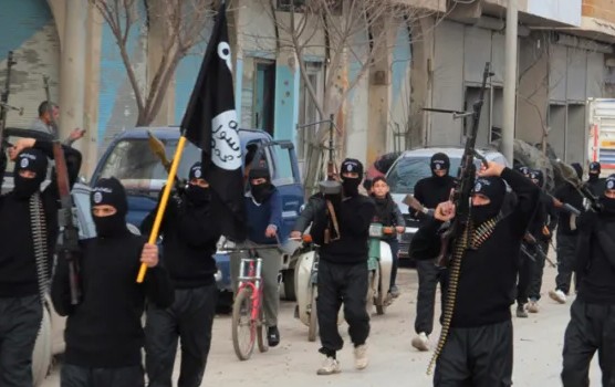 isis reuters