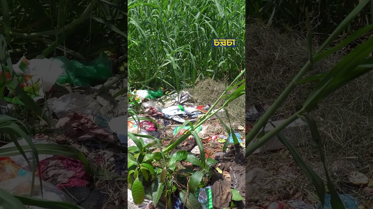 মসজিদটির সঙ্গে ‘মাটির ময়না’র কী সম্পর্ক?