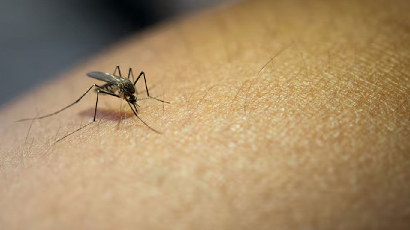 mosquito-bite_freepik