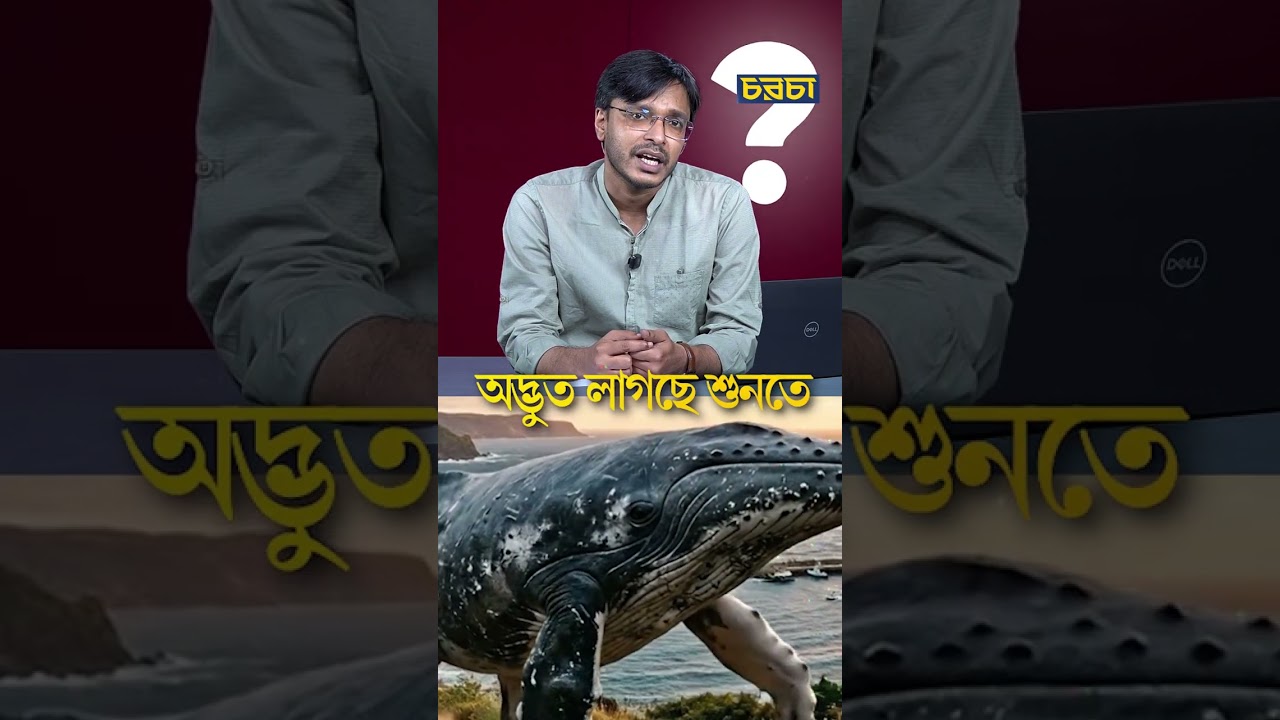 পাকিস্তানে নাকি এক সময় হেঁটে বেড়াত চার পা’ওয়ালা তিমি