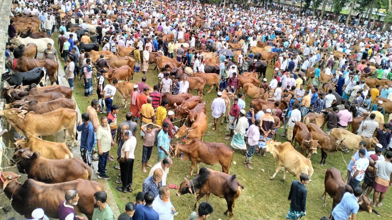 পশুর হাট