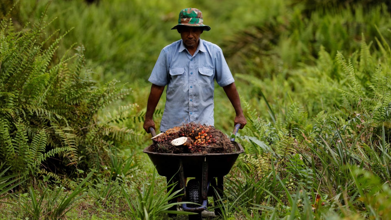 south-east agriculture (1)