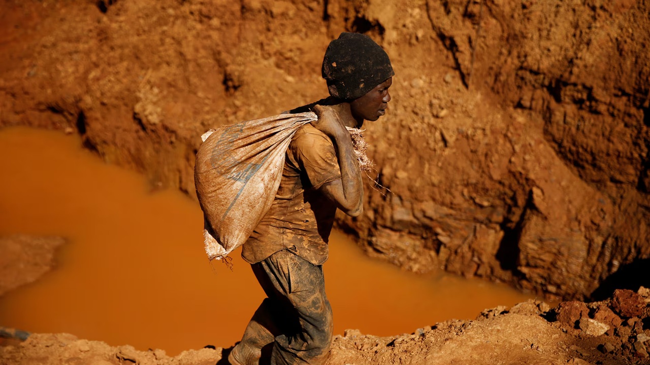 zimbabwe mining plant